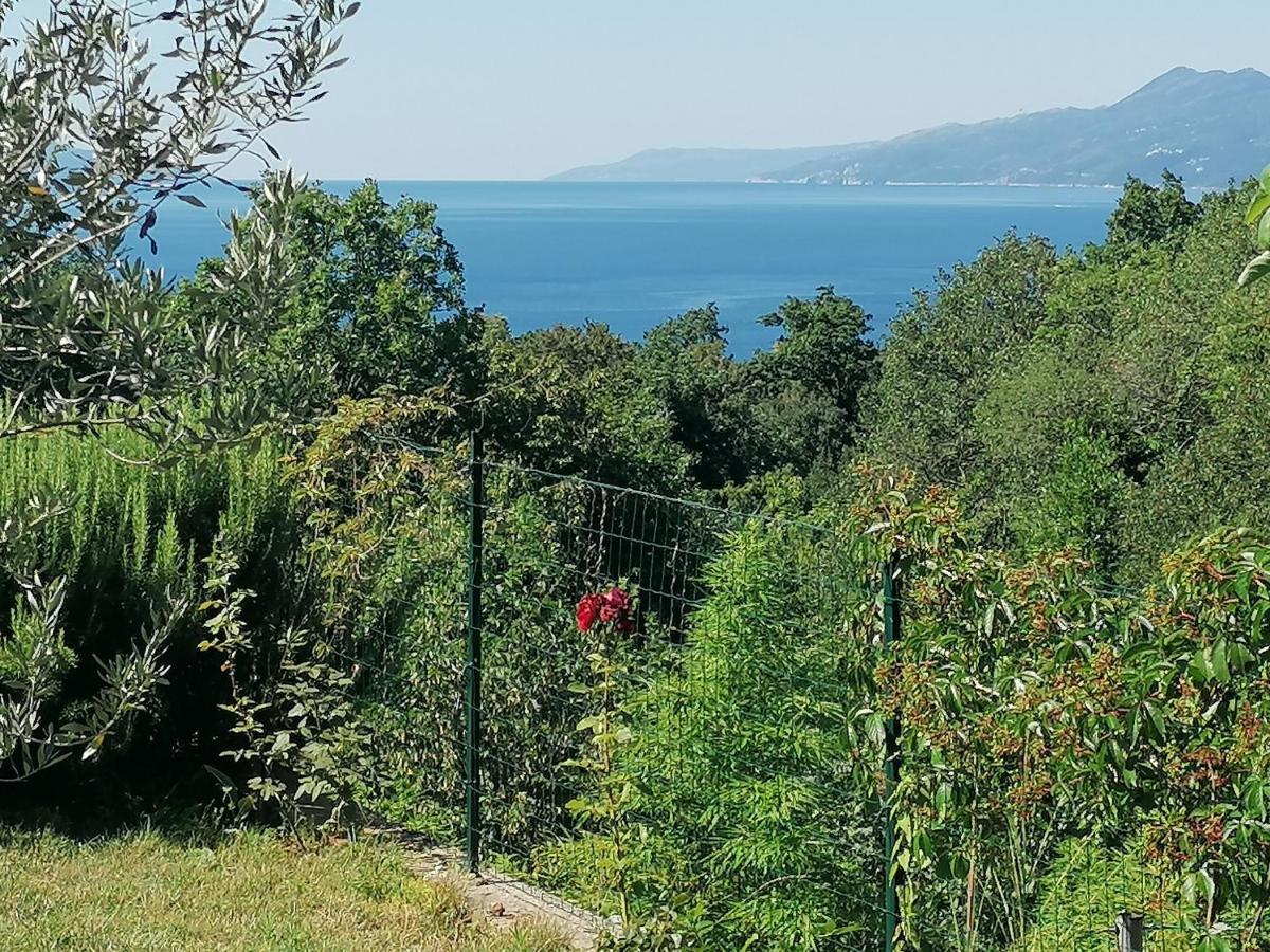Apartment The View Costabella Rijeka Eksteriør bilde